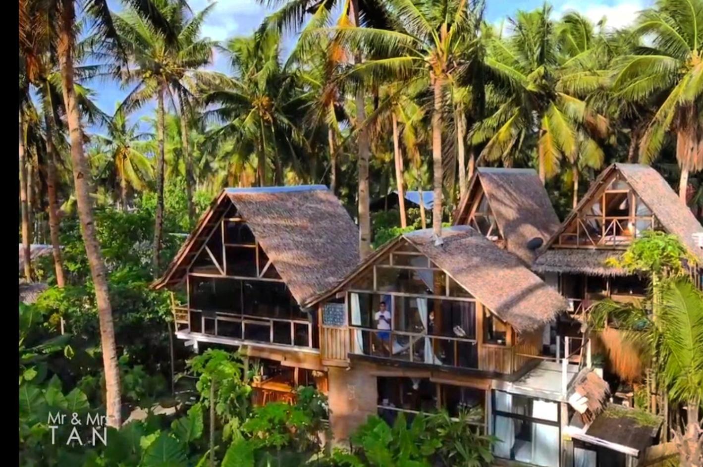 Tarzan's House