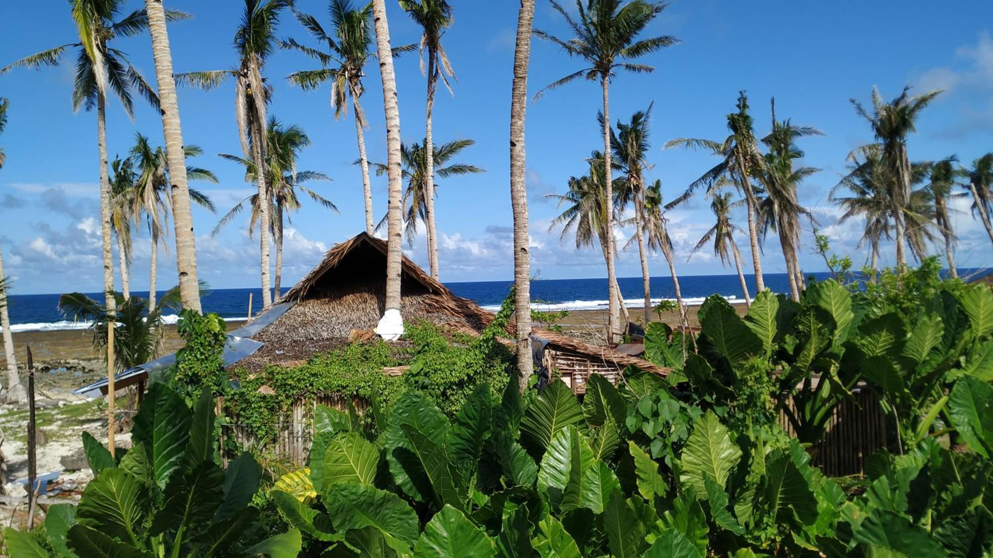Tarzan's House